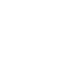Wordpress Web Development
